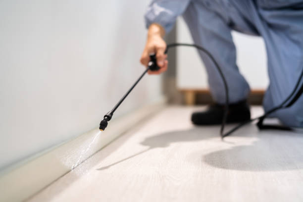 Licensed Termite Control service in Alexander County County, NC - Nex Pest Control