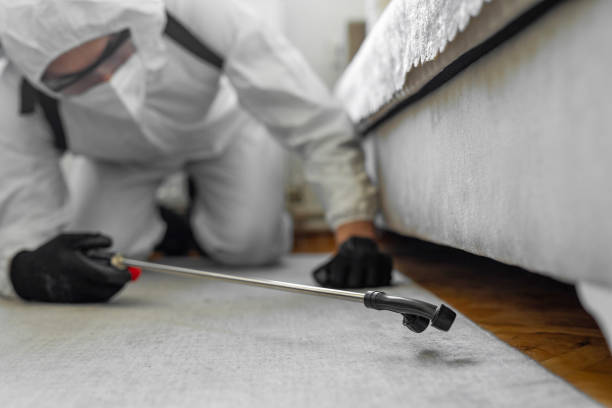 Professional Termite Control technician working in Alexander County County, NC